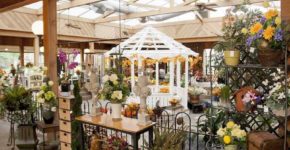 Barbieri, Lavanderie e Fiora