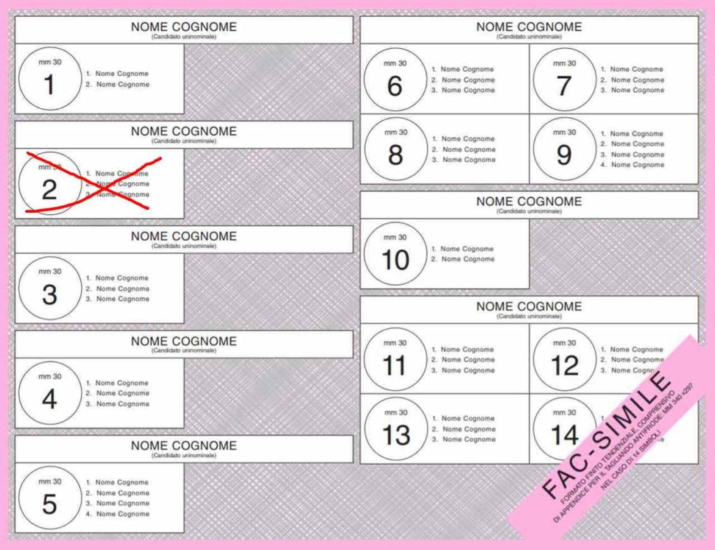 elezioni politiche - voto ok 1