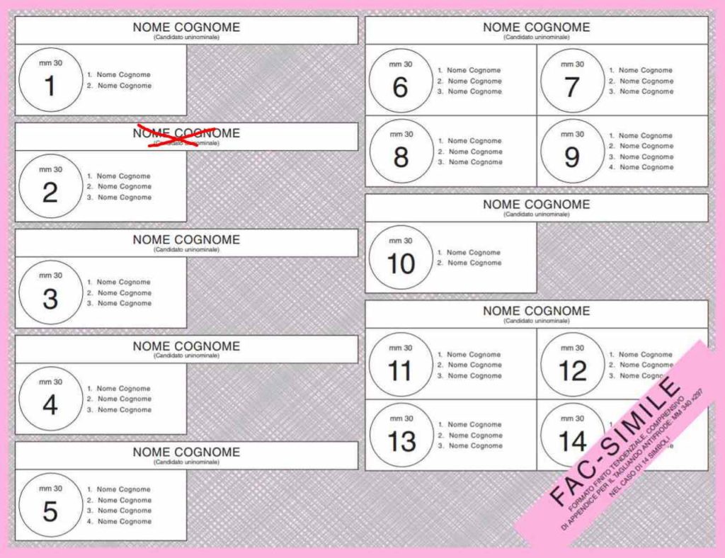 elezioni politiche - voto 2