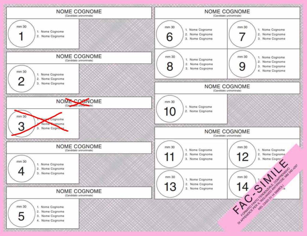 elezioni politiche - voto 3