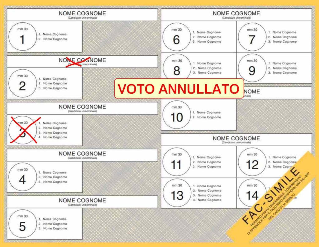 elezioni politiche - voto nullo
