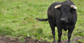 lavori più pericolosi