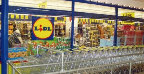 lidl assume