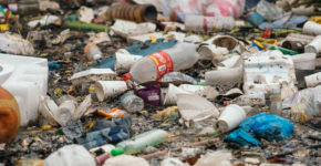 plastica monouso - inquinamento