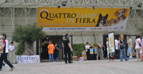Quattrozampeinfiera