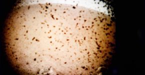 lander insight marte