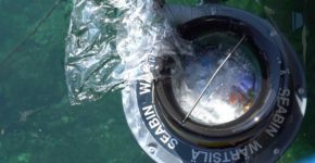 seabin pulire il mare dalla plastica