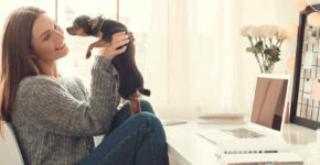 Cane in azienda, è meglio dell'auto