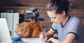 Lavoro da casa, perchè molti lo sognano-