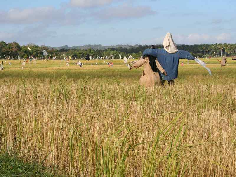 Lavori più strani, chi guadagna di più