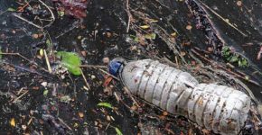 Prenderci cura del nostro pianeta, l'esempio da seguire