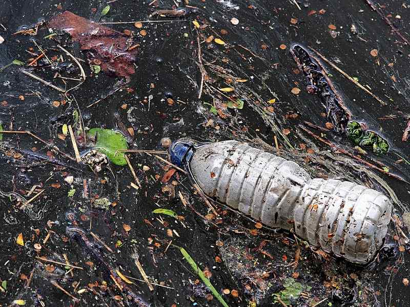 Prenderci cura del nostro pianeta, l'esempio da seguire