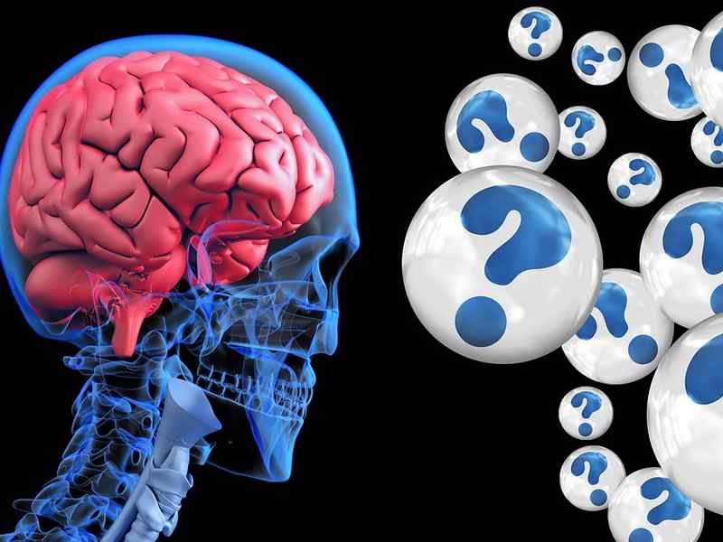 Il cervello apprende e gli occhi lo dimostrano