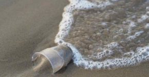 Plastica nei mari, nelle Filippine l'ultima vittima