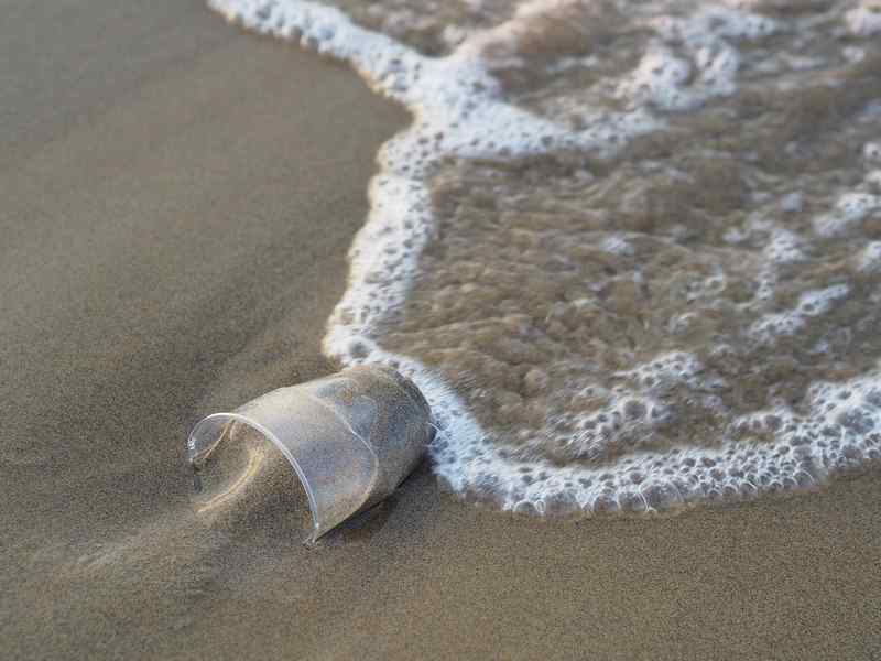 Plastica nei mari, nelle Filippine l'ultima vittima