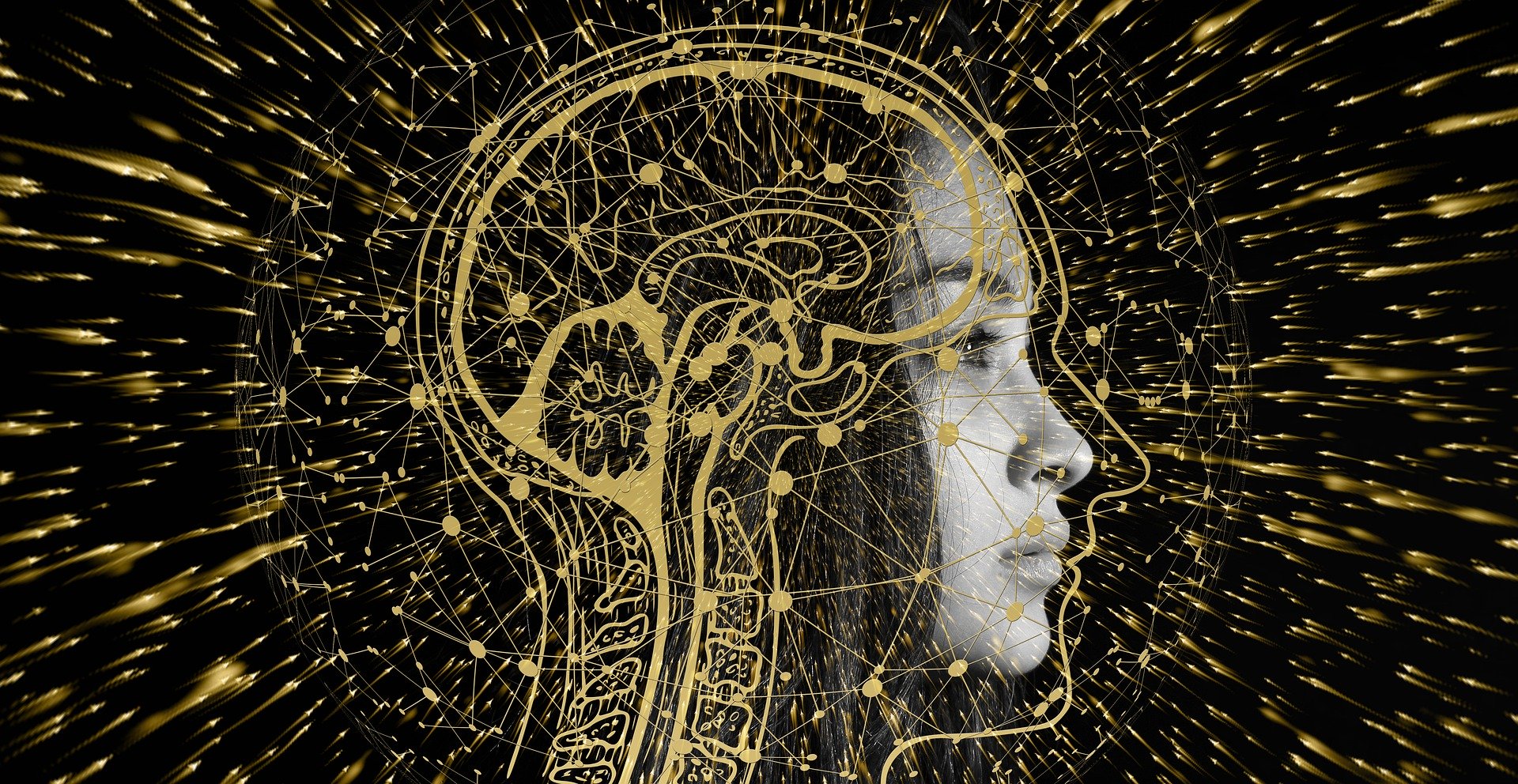 Intelligenza esperienziale, la soluzione per una vita felice